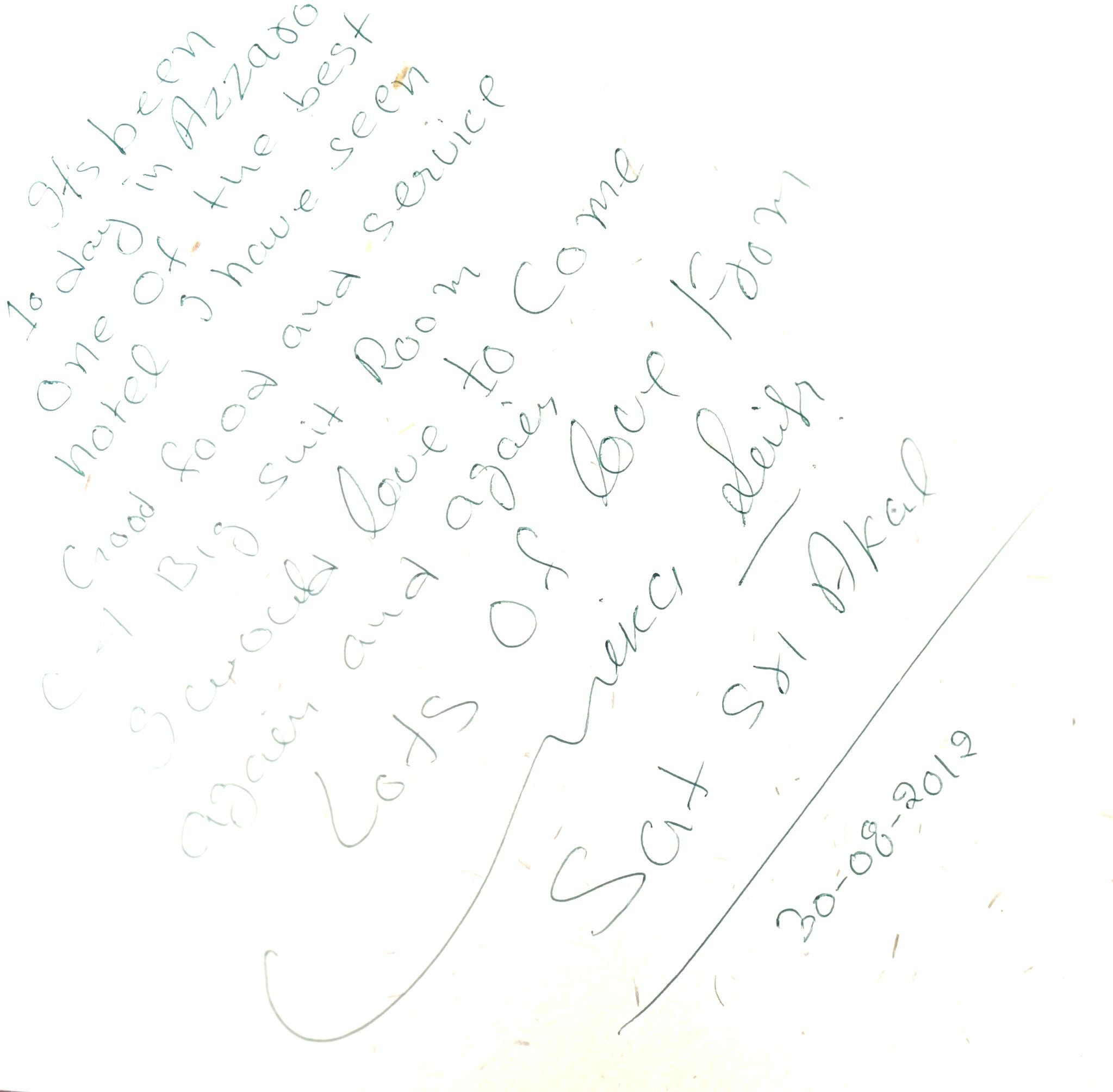 Mika Singh's Experience